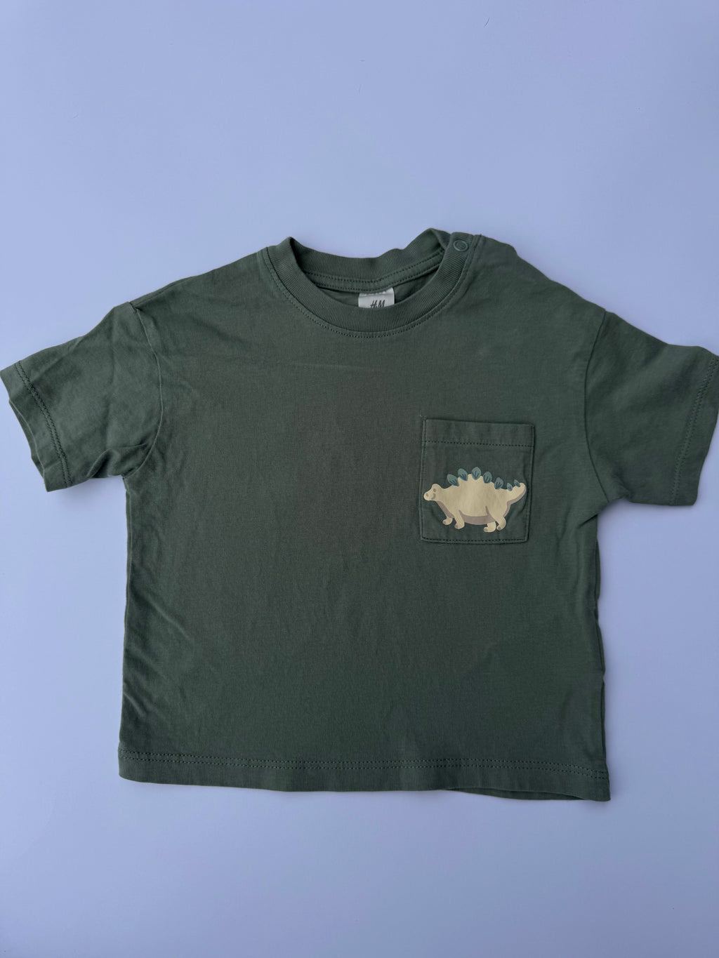 H&M Dinosaur T-Shirt